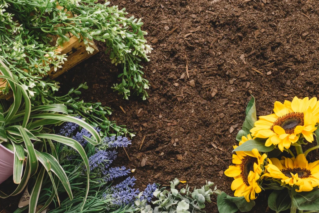 garden-flower-mulch